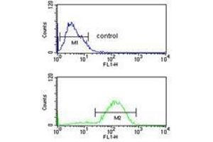 HSD11B2 flow cytometric analysis of MCF-7 cells (bottom histogram) compared to a negative control cell (top histogram).
