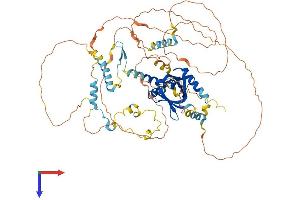 AlphaFold protein structure predicition of Human Recombinant NUMB Protein, UniprotID P49757