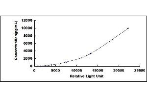 Survival of Motor Neuron 2, Centromeric (SMN2) CLIA Kit
