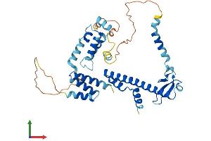 AlphaFold protein structure predicition of Human Recombinant DNAJB12 Protein, UniprotID Q9NXW2