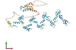 AlphaFold protein structure predicition of Human Recombinant ZNF17 Protein, UniprotID P17021