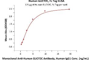 Immobilized Human GUCY2C, Fc Tag (ABIN6973086) at 5 μg/mL (100 μL/well) can bind Monoclonal A GUCY2C Antibody, Human IgG1 with a linear range of 0. (GUCY2C Protein (AA 24-430) (Fc Tag))