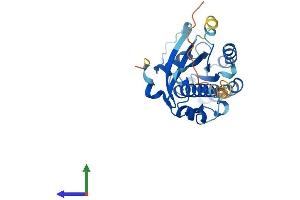 AlphaFold protein structure predicition of Human Recombinant RAB34 Protein, UniprotID Q9BZG1