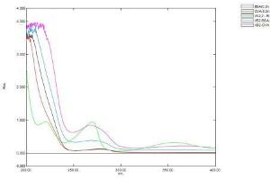 Image no. 1 for Vitamin B2 (Riboflavin) protein (Ovalbumin) (ABIN1880307) (Vitamin B2 Protein (Ovalbumin))