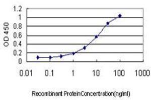 Detection limit for recombinant GST tagged ATN1 is approximately 0. (Atrophin 1 anticorps  (AA 1-110))
