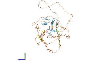 AlphaFold protein structure predicition of Human Recombinant KLF5 Protein, UniprotID Q13887