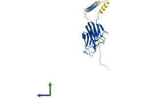 AlphaFold protein structure predicition of Human Recombinant TNFSF14 Protein, UniprotID O43557