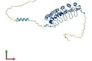 AlphaFold protein structure predicition of Mouse Recombinant Nfkbia Protein, UniprotID Q9Z1E3