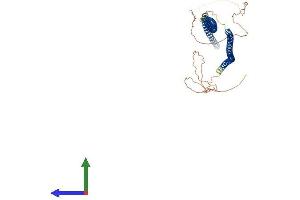AlphaFold protein structure predicition of Human Recombinant KRT81 Protein, UniprotID Q14533