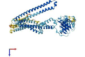 AlphaFold protein structure predicition of Human Recombinant TAP2 Protein, UniprotID Q03519
