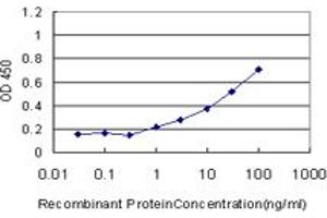 Detection limit for recombinant GST tagged GDF11 is approximately 1ng/ml as a capture antibody. (GDF11 anticorps  (AA 310-407))
