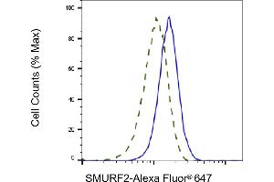 Validation of SMURF2 knockdown using flow cytometry. (SMURF2 anticorps)
