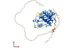 AlphaFold protein structure predicition of Human Recombinant CDK15 Protein, UniprotID Q96Q40