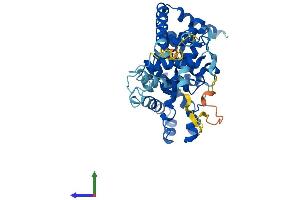 AlphaFold protein structure predicition of Human Recombinant TBC1D13 Protein, UniprotID Q9NVG8