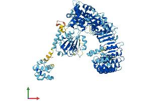AlphaFold protein structure predicition of Mouse Recombinant Nlrp4e Protein, UniprotID Q66X19