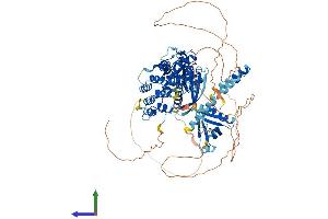 AlphaFold protein structure predicition of Mouse Recombinant Agap1 Protein, UniprotID Q8BXK8