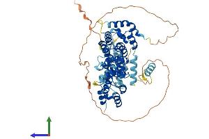 AlphaFold protein structure predicition of Human Recombinant FANCE Protein, UniprotID Q9HB96