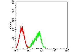 Flow cytometric analysis of HL-60 cells using CD351 mouse mAb (green) and negative control (red).