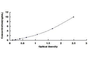 Leucine-Rich Repeat Containing G Protein-Coupled Receptor 5 (LGR5) ELISA Kit