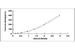 Growth Differentiation Factor 11 (GDF11) ELISA Kit