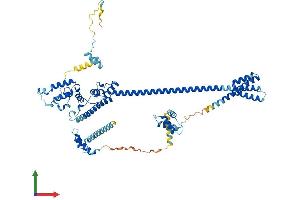AlphaFold protein structure predicition of Human Recombinant DNAJC2 Protein, UniprotID Q99543