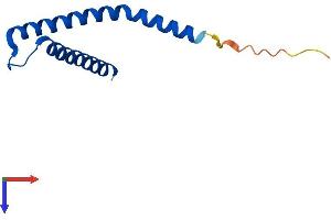 AlphaFold protein structure predicition of Mouse Recombinant Timm10b Protein, UniprotID Q9WV96