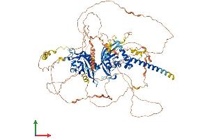 AlphaFold protein structure predicition of Mouse Recombinant Epas1 Protein, UniprotID P97481