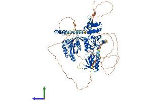 AlphaFold protein structure predicition of Human Recombinant AGAP3 Protein, UniprotID Q96P47
