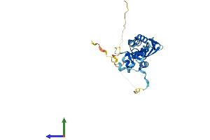 AlphaFold protein structure predicition of Mouse Recombinant Kctd15 Protein, UniprotID Q8K0E1