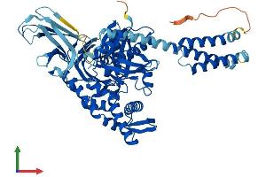 AlphaFold protein structure predicition of Mouse Recombinant Hspa2 Protein, UniprotID P17156