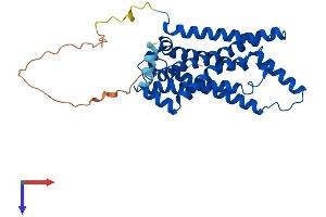 AlphaFold protein structure predicition of Mouse Recombinant Steap1 Protein, UniprotID Q9CWR7