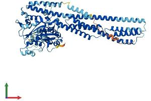 AlphaFold protein structure predicition of Human Recombinant GBP6 Protein, UniprotID Q6ZN66