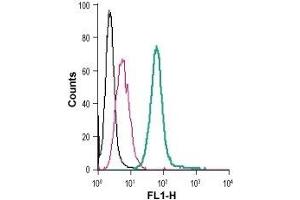 Cell surface detection of S1PR3 in live intact mouse J774 macrophage cells: (black line) Cells.