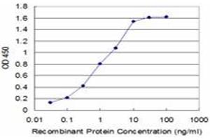 Detection limit for recombinant GST tagged FADD is approximately 0. (FADD anticorps  (AA 109-208))