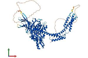 AlphaFold protein structure predicition of Human Recombinant HSPA4 Protein, UniprotID P34932
