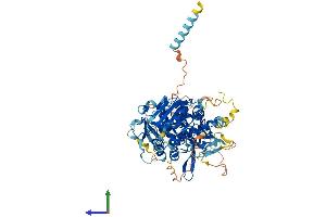 AlphaFold protein structure predicition of Human Recombinant EXTL1 Protein, UniprotID Q92935