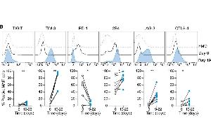 Representative example and average expression of the indicated inhibitory receptorson MAIT cells over time in culture (n = 6–8) using LAG-3 antibody (ABIN1169105). (LAG3 anticorps  (N-Term))