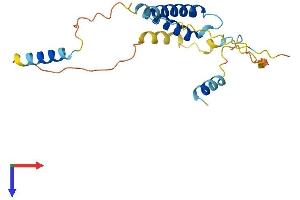 AlphaFold protein structure predicition of Mouse Recombinant Sertad3 Protein, UniprotID Q9ERC3
