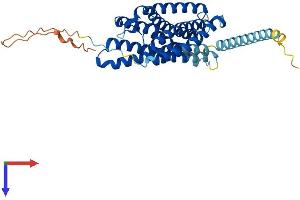 AlphaFold protein structure predicition of Human Recombinant P2RY1 Protein, UniprotID P47900