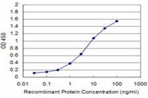 Detection limit for recombinant GST tagged BRAF is approximately 0.