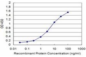 Detection limit for recombinant GST tagged BRAF is approximately 0. (BRAF anticorps  (AA 138-231))