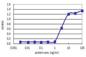 Sandwich ELISA detection sensitivity ranging from 1 ng/ml to 100 ng/ml. (IL8 (Humain) Matched Antibody Pair)