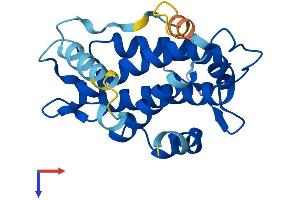 AlphaFold protein structure predicition of Human Recombinant MOB3B Protein, UniprotID Q86TA1