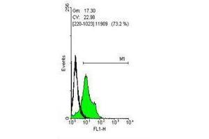 FACS Image Flow cytometry on human embryonic stem cells, staining with SOX2 ,antibody at 1:50 dilution(green) or rabbit IgG (black). (SOX2 anticorps)
