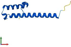 AlphaFold protein structure predicition of Human Recombinant CMC2 Protein, UniprotID Q9NRP2