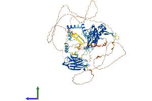AlphaFold protein structure predicition of Human Recombinant DNAAF2 Protein, UniprotID Q9NVR5