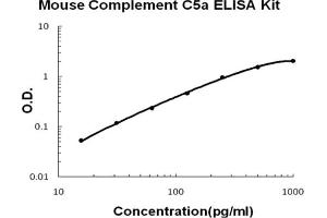 Mouse Complement C5a Accusignal ELISA Kit Mouse Complement C5a AccuSignal ELISA Kit standard curve.