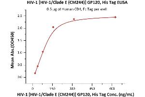 Immobilized Human CD4, Fc Tag (ABIN2180789,ABIN2180788) at 5 μg/mL (100 μL/well) can bind HIV-1 [HIV-1/Clade E (CM244)] GP120, His Tag (3) with a linear range of 20-156 ng/mL (QC tested). (Human Immunodeficiency Virus Surface Glycoprotein (HIV gp120) (AA 36-511) protein (His tag))