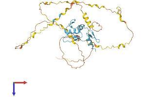 AlphaFold protein structure predicition of Human Recombinant KLF2 Protein, UniprotID Q9Y5W3