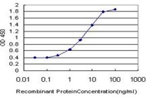 Detection limit for recombinant GST tagged NANOG is approximately 0. (Nanog anticorps  (AA 98-195))